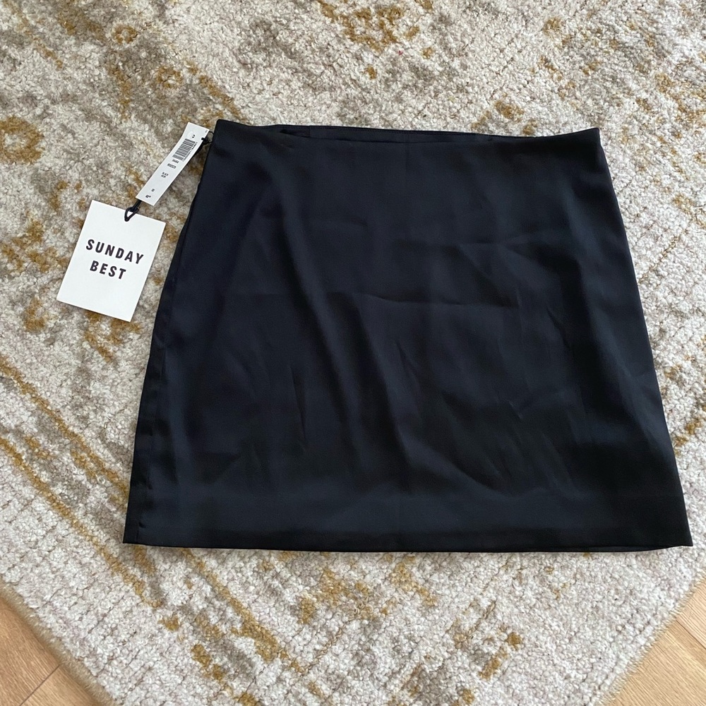 Aritzia. Sunday Best Rocco Mini Skirt